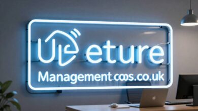 management consultant insurance