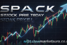 spacex stock price today