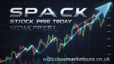 spacex stock price today