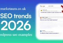 wordpress seo examples