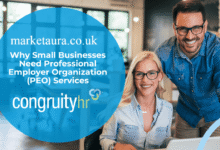 small business peo